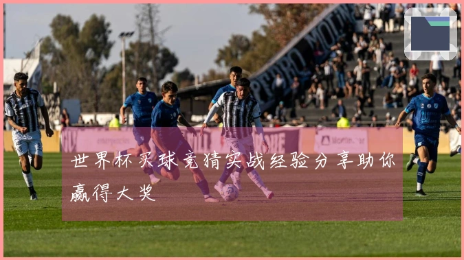 世界杯买球竞猜实战经验分享助你赢得大奖