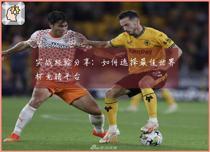 实战经验分享：如何选择最佳世界杯竞猜平台