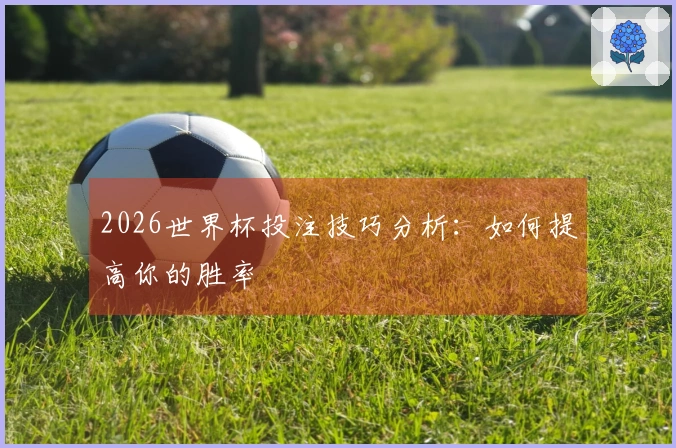 2026世界杯投注技巧分析：如何提高你的胜率
