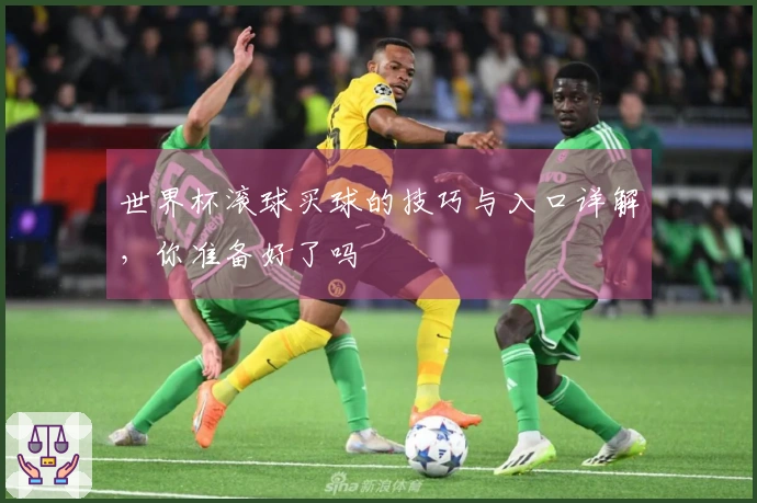 世界杯滚球买球的技巧与入口详解，你准备好了吗