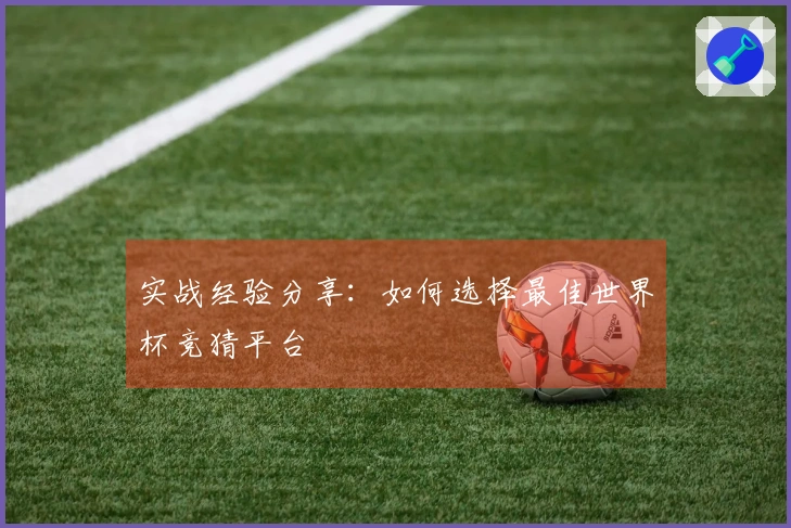 实战经验分享：如何选择最佳世界杯竞猜平台