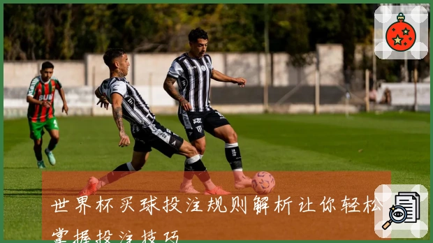 世界杯买球投注规则解析让你轻松掌握投注技巧