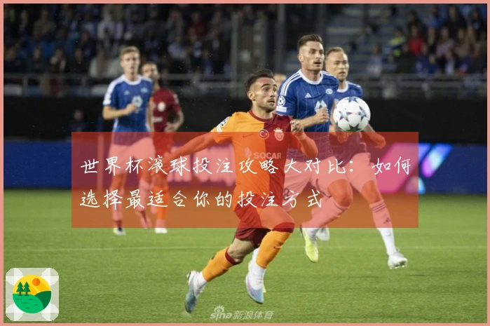 世界杯滚球投注攻略大对比：如何选择最适合你的投注方式