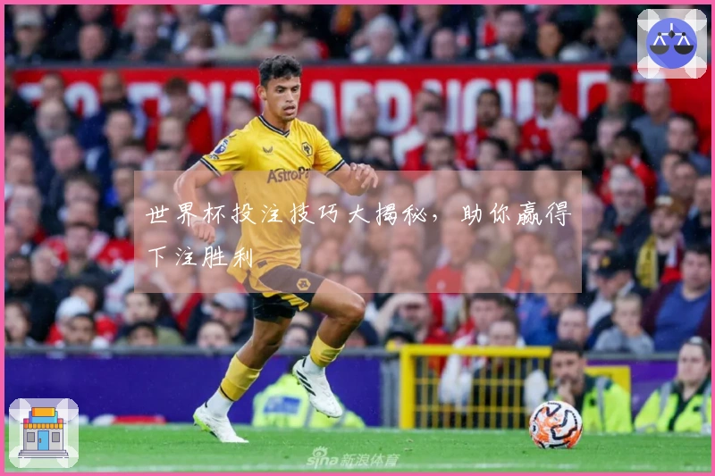 世界杯投注技巧大揭秘，助你赢得下注胜利