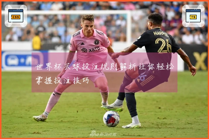 世界杯买球投注规则解析让你轻松掌握投注技巧