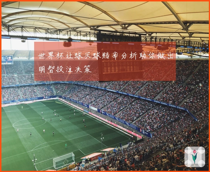 世界杯让球买球赔率分析助你做出明智投注决策