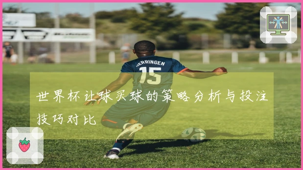 世界杯让球买球的策略分析与投注技巧对比